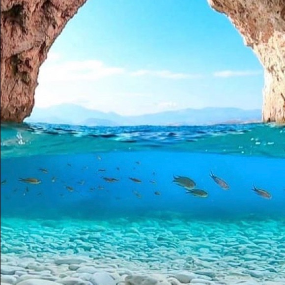 Meet your Posher, Aileen - Picture 1 of 1